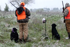 Upland Training in the Snow - April in Texas